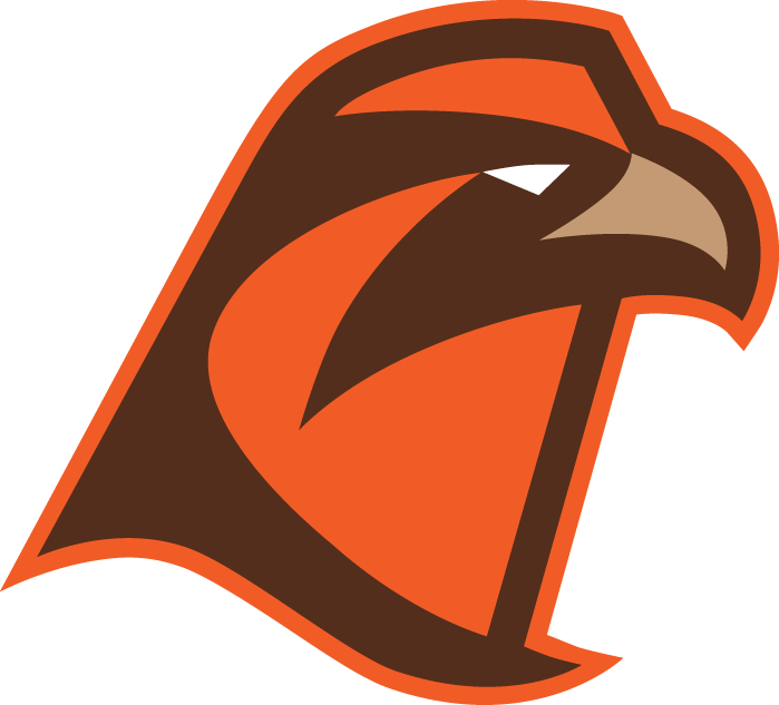 Bowling Green Falcons 2006-Pres Alternate Logo v7 iron on transfers for fabric